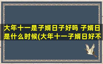 大年十一是子婿日子好吗 子婿日是什么时候(大年十一子婿日好不好？详解子婿日的来历和意义)